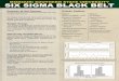 Purpose of the Course: Course Outline...This course builds on the Missouri Southern Six Sig-ma Black Belt course. Six Sigma improvement tools and techniques are taught. This course