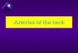 Arteries of the neck - minia.edu.eg of the nec… · Arteries of the neck ... and maxillary arteries. External carotid artery Course: At its origin, it lies in the carotid triangle