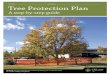 PERMIT #: ADDRESS: Tree Protection Plan · 2020-06-11 · Applicants must implement and maintain tree protection for the duration of the development project. This includes recognition