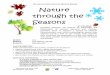 Nature through the Seasons › uploadedFiles › Nature Through the Seasons (Sept. 2012).pdfStart a Classroom Nature Calendar Start your own phenology calendar. Record changes in the