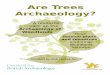 Are Trees Archaeology? · Are Trees Archaeology? YAC Resource Pack The Archaeology of Trees Background Information for Leaders For the last 12,000 years, trees have been an essential