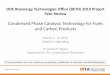 Condensed Phase Catalysis Technology for Fuels and Carbon … · 2019-03-29 · DOE Bioenergy Technologies Office (BETO) 2019 Project Peer Review Condensed Phase Catalysis Technology