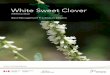 White Sweet Clover · Best Management Practices in Ontario 1 Introduction White Sweet Clover (Melilotus albus) is typically a biennial plant.This means it blooms in its second year