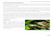 Common Freshwater Species › ...Stage 1: A Basic Overview of Fishkeeping 1-103 Common Freshwater Species Keeping different species together can be a challenge. No two species, no