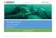 SCUBA Diver · The role of a SCUBA diver is to perform commercial diving activities and underwater operations in inshore waters. The spectrum of SCUBA diving includes industrial tasks