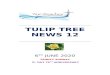 TULIP TREE NEWS 12 - wyereaches.orgwyereaches.org/wp/wp-content/uploads/2020/06/TULIP-T…  · Web viewtulip tree news 12. 6th june 2020. trinity sunday. d-day. 76. th. anniversary