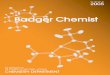 Badger Chemist - UW-Madison Chemistry€¦ · The Badger Chemist, under the exceptional editorship of our Executive Director, Matt Sanders, is a wonderful vehicle for communicating