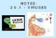 NOTES 2 0 .1 - VIRUSES › cms › lib8 › OR01001812 › Centricity...viruses cause illnesses like colds, flu, chicken pox, herpes, AIDS, polio, rabies, measles, mumps… Chicken