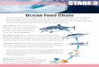 Unit focus: Animal Food Chains Text focus: Information Text … · 2020-06-11 · Unit focus: Animal Food Chains STAGE 3 Text focus: Information Text (740L) Ocean Food Chain The ocean