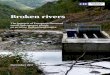 Broken rivers - 4 Broken rivers: the impacts of European-financed small hydropower plants on pristine