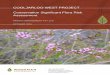 COOLJARLOO WEST PROJECT Conservation Significant Flora … · 2017-05-29 · COOLJARLOO WEST PROJECT Conservation Significant Flora Risk Assessment TRONOX MANAGEMENT PTY LTD OCTOBER