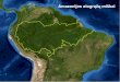Amazonijos atogrąžų miškaigeografija.lt/wp-content/uploads/2011/03/amazonepat.pdf · Baseino plotas - 7 mln. km2 Upės ilgis - 6516 km Upės plotis žemupyje - 18 km Upės plotis