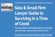 Solo & Small Firm Lawyer Guide to Surviving in a Time of Covid · 2020-03-30 · Solo & Small Firm Lawyer Guide to Surviving in a Time of Covid Your questions on ﬁnancial support,