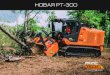 PT-300 RUS longo - FAE GROUP...вырубка леса на полосе отвода,переустройство и рекультивация земель, стабилизация