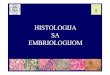 HISTOLOGIJA SA EMBRIOLOGIJOM€¦ · endokrini sistem •hypophysis •glandula thyreoidea. hypophysis (homo) a c b. hypophysis (homo) c a b 7