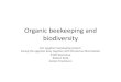 Organic beekeeping and biodiversity - Imkerei …...Organic beekeeping and biodiversity Our egyptian beekeeping project: Saving the egyptian bees together with Schwartau Marmelades