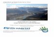 Southeast Alaska Fish Habitat Partnership Strategic …...STRATEGIC ACTION PLAN 2014–2016 Final Version 1.0 July 9, 2014 SOUTHEAST ALASKA FISH HABITAT PARTNERSHIP Supporting Cooperative