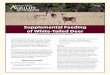Supplemental Feeding of White-Tailed Deeragrilifeextension.tamu.edu/wp-content/uploads/2019/03/...feeding, how it relates to habitat management, and a set of suggestions regarding
