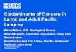 Contaminants of Concern in Larval and Adult Pacific Lamprey 5... · 2018-03-05 · Pacific Lamprey Contaminants Cl Cl Cl Cl Cl O Brm Brn (Cl)n 56 (Cl)n 4 23 65 4 32 Ammocoete larvae