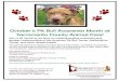 October is Pit Bull Awareness Month at Sacramento County ...and stereotypes, and promote responsible pit bull guardianship. Educational Sessions! Pit Bull Education Workshop for Pit