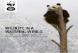 WILDLIFE IN A WARMING WORLD - WWF · 2019-02-07 · 4 WILDLIFE IN A WARMING WORLD 5 if average global temperature rises are kept to 2°C above pre-industrial levels. Maximum temperatures