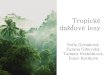 Tropické dažďové lesytamara.hrabcakova5c/Dazdovepralesy.pdf · Rastlinstvo •Rastie v poschodiach až do výšky 70 m •Je veľmi pestré a husté •Rastú tam popínavé rastliny-