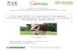 Lélevage laitier en agriculture biologiqueidele.fr/fileadmin/medias/Documents/Optialibio/Marine... · 2018-04-17 · Lélevage laitier biologique : autonomie alimentaire et résistance