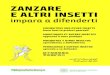 ZANZARE E ALTRI INSETTI - Modena 2€¦ · rimuovi sempre gli sfalci d’erba e tieni il giardino pulito ZANZARE E ALTRI INSETTI impara a difenderti Per ridurre al minimo la presenza