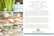 VERITAS BASIC HEALING DIET · The Veritas Basic Healing Diet eliminates a lot of sugars (even some of those naturally found in fruits and dairy – and all from grains and processed