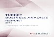 TURKEY BUSINESS ANALYSIS REPORTbaistanbul.org/files/Turkey-Business-Analysis-Report.pdf · 2015-11-11 · November 3rd initiating a series of keynotes, ... • Project Managers: Definition