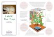 (Pyxicephalus adspersus) LARGE Tree Frogs7).pdf · 2020-03-22 · Australian Tree Frogs Litoria spp. Flying & Gliding frogs Polypedates & Rachophorus spp., –Housing The permanent