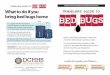 What to do if you bring bed bugs home BED BUGSNotify hotel management if you have any concerns. Bed sheets and pillows should be pulled back and checked for signs of bed bugs or blood