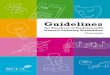 Guidelines - NCCA · education involves schools developing their culture, management, organisation, content and approaches to teaching and learning, to ... forbairt coincheapúil