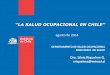 “LA SALUD OCUPACIONAL EN CHILE”biblioteca.iplacex.cl/RCA/La salud ocupacional en chile.pdfla Salud Ocupacional. Liderar mesas de trabajo nacionales tripartitas por actividad económica,