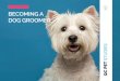 BECOMING A DOG GROOMER your grooming skills and learn through hands-on work. The groomer you¢â‚¬â„¢re assisting
