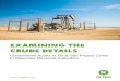 Government Audits of Oil & Gas Project Costs to Maximize ... · improving domestic revenue mobilization (DRM) in developing countries remains a priority for governments, civil society,