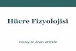 Hücre Fizyolojisiesaglikonline.com/E-Saglik Online/Fizyoloji/2- Hucre Fizyolojisi.pdf · Sitoplazmik organeller • Özelleşmiş hücresel yapılar: Organeller • Zarlı olanlar
