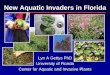 New Aquatic Invaders in Florida pdfs/Tuesday-pdf/pm... · New Aquatic Invaders in Florida Lyn A Gettys PhD University of Florida Center for Aquatic and Invasive Plants . Aquatic weeds