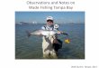 Observations and Notes on Wade Fishing Tampa Bay · 2017-10-10 · Introduction.Wade fishing is a great way to fly fish in the flats surrounding Tampa Bay. Almost the entire bay is