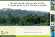 Market-based instruments for ES: A rough guide to the ... · Market-based instruments for ES: A rough guide to the literature jungle PESMIX Workshop, Montpellier 11-13 June Romain