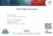 CICS Web Services · 2015-02-24 · –CICS web services tooling ... Distributed program link CICS client CALL 'PAYBUS' = LINK ECI CICSA PAYBUS EXCI LINK PAYBUS PAYBUS PAYBUS non-
