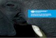 Taking Stock: An assessment of progress under the …...Taking Stock: An assessment of progress under the National Ivory Action Plan process 3 EXECUTIVE SUMMARY NIAP process The NIAP