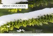 Adult Education - VanDusen Botanical Gardenvandusengarden.org/wp-content/uploads/2015/02/VBGA-Adult... · 2019-07-23 · growing season. Look at design ideas for diverse growing spaces