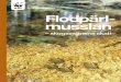 Flodpärl- musslan...av vår kulturhistoria Ett omfattande pärlfiske bredde ut sig i jakten på att hitta de perfekta pärlorna. Pärlfisket och alla de smycken och konst-verk som