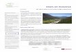 EINES DE PAISATGE - COAMB · paisatge impulsades en els darrers 5 anys i analitza detalladament les característiques, ... Integració paisatgística de línies elèctriques. Ponent: