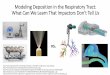 Modeling Deposition in the Respiratory Tract: What Can We ... · deposition patterns have been observed. • While the exact anatomical measurements of the respiratory tract will