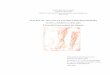 kine-nancy.eumemoires.kine-nancy.eu/1553odoj0506.pdf · Présenté par Sarah ODOJ Etudiante en 3 année de kinésithérapie En vue de l'obtention du Diplôme d'Etat De Masseur-Kinésithérapie