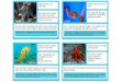 PowerPoint Presentation · Habitat: Most places in the ocean. Diet: Fish, squid and even other sharks. They are carnivores. shark How it Survives: Sharks have an amazing sense of