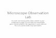 Microscope Observation Labfnbio.weebly.com/uploads/1/0/8/7/108776399/microscope_observati… · Microscope Observation Lab For each microscope slide make a sketch in your notebook