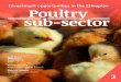 Investment opportunities in the Ethiopian Poultry sub-sector · Investment opportunities 15 Points to consider 21 Sources of further information 25 Written by: Auke Boere¹, ... Business